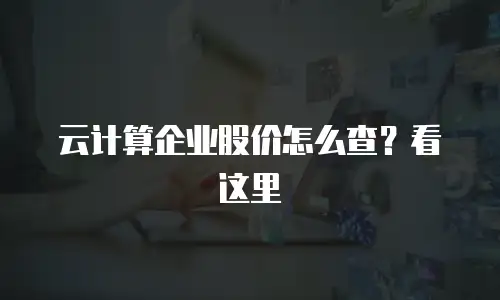 云计算企业股价怎么查？看这里