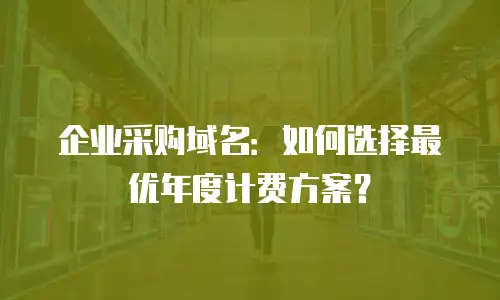 企业采购域名：如何选择最优年度计费方案？