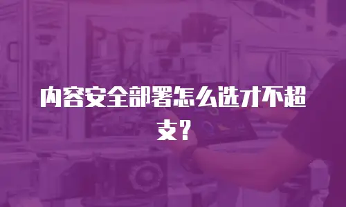内容安全部署怎么选才不超支？