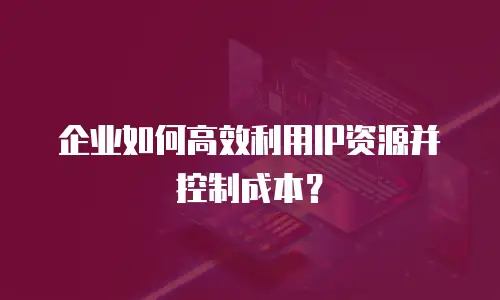 企业如何高效利用IP资源并控制成本？