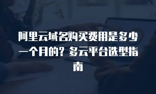 阿里云域名购买费用是多少一个月的？多云平台选型指南