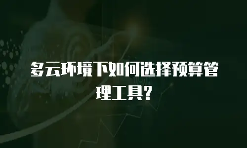 多云环境下如何选择预算管理工具？