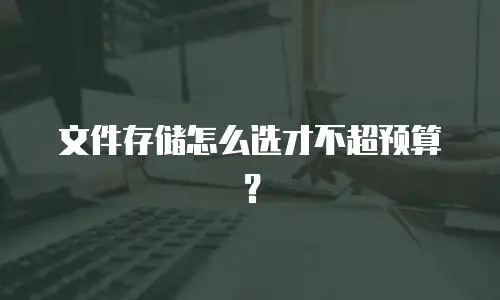 文件存储怎么选才不超预算？