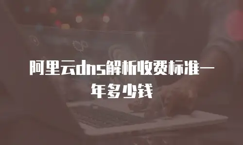 阿里云dns解析收费标准一年多少钱