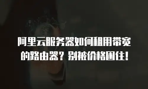 阿里云服务器如何租用带宽的路由器？别被价格困住！