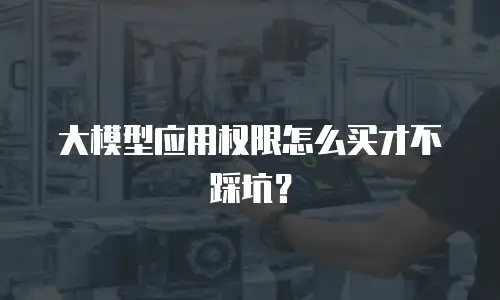 大模型应用权限怎么买才不踩坑？