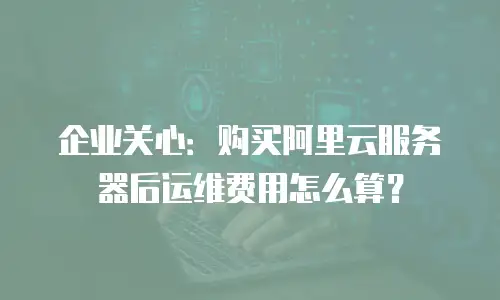 企业关心：购买阿里云服务器后运维费用怎么算？