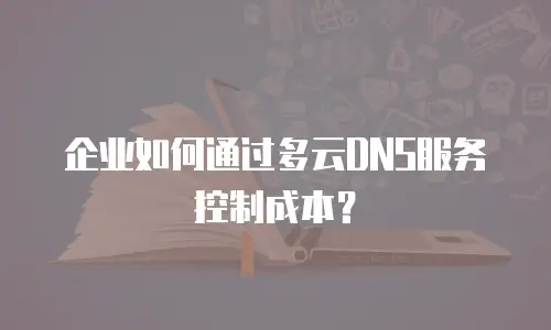 企业如何通过多云DNS服务控制成本？