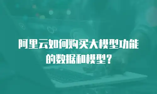 阿里云如何购买大模型功能的数据和模型？