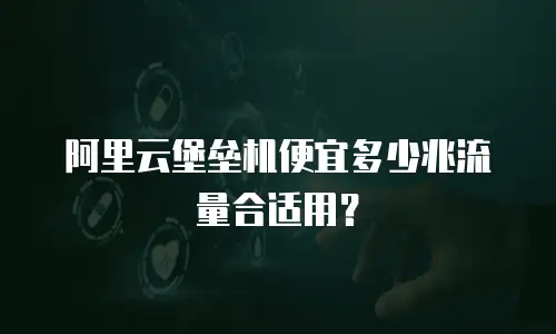 阿里云堡垒机便宜多少兆流量合适用？