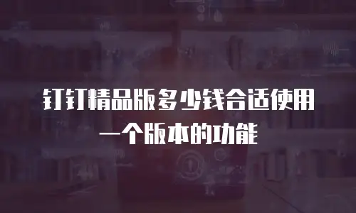 钉钉精品版多少钱合适使用一个版本的功能