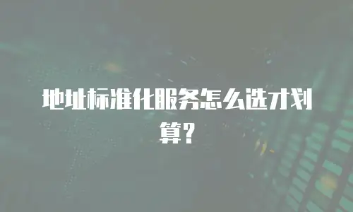 地址标准化服务怎么选才划算？