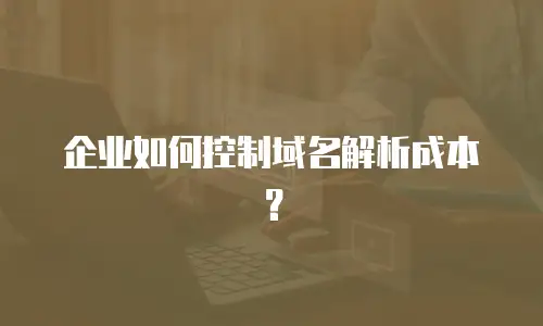 企业如何控制域名解析成本？