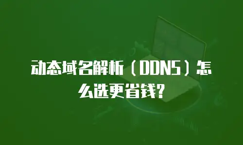 动态域名解析（DDNS）怎么选更省钱？