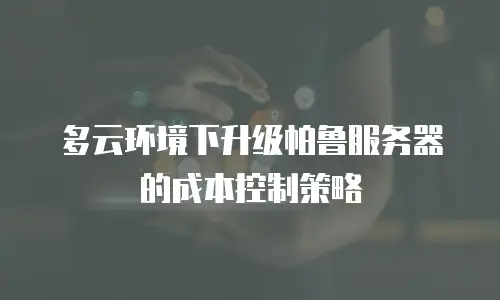 多云环境下升级帕鲁服务器的成本控制策略