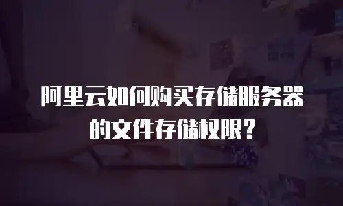 阿里云如何购买存储服务器的文件存储权限？