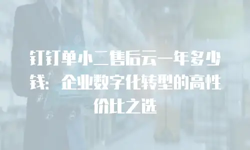 钉钉单小二售后云一年多少钱：企业数字化转型的高性价比之选