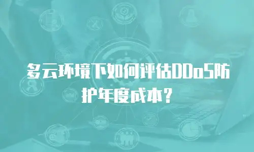 多云环境下如何评估DDoS防护年度成本？