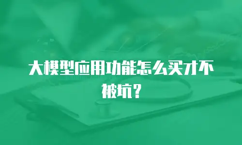大模型应用功能怎么买才不被坑？
