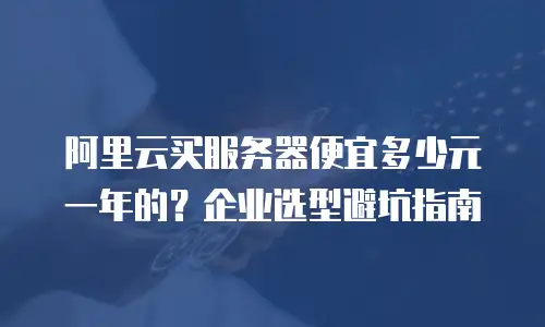 阿里云买服务器便宜多少元一年的？企业选型避坑指南