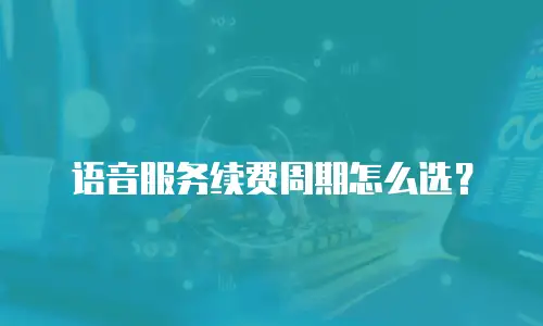 语音服务续费周期怎么选？