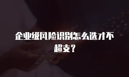 企业级风险识别怎么选才不超支？