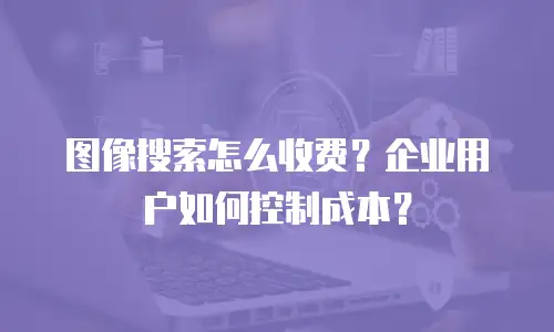 图像搜索怎么收费？企业用户如何控制成本？