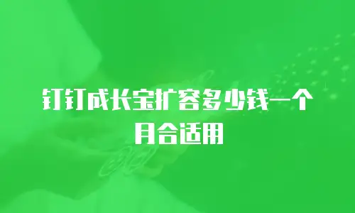 钉钉成长宝扩容多少钱一个月合适用