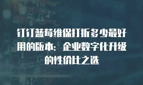 钉钉蓝莓维保打折多少最好用的版本：企业数字化升级的性价比之选