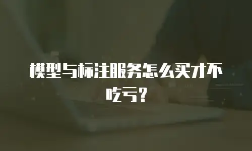 模型与标注服务怎么买才不吃亏？