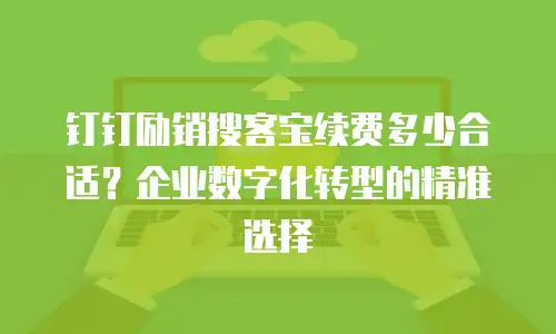 钉钉励销搜客宝续费多少合适？企业数字化转型的精准选择