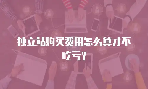 独立站购买费用怎么算才不吃亏？