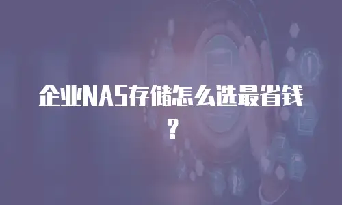 企业NAS存储怎么选最省钱？