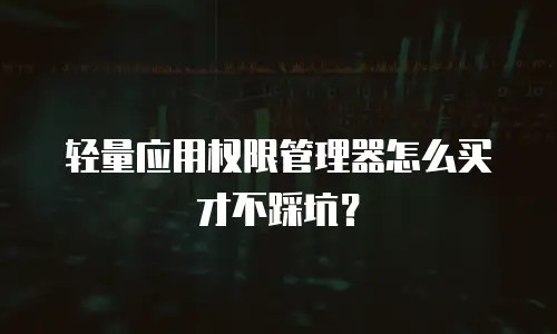 轻量应用权限管理器怎么买才不踩坑？