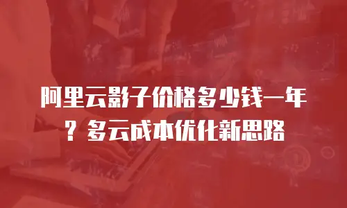 阿里云影子价格多少钱一年？多云成本优化新思路