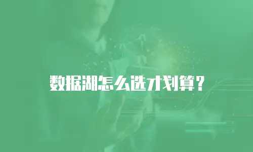 数据湖怎么选才划算？