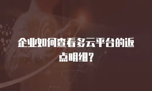 企业如何查看多云平台的返点明细？