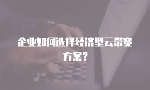 企业如何选择经济型云带宽方案？