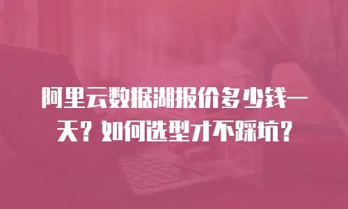 阿里云数据湖报价多少钱一天？如何选型才不踩坑？