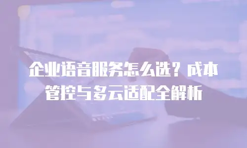 企业语音服务怎么选？成本管控与多云适配全解析