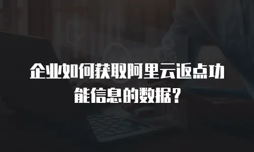企业如何获取阿里云返点功能信息的数据？