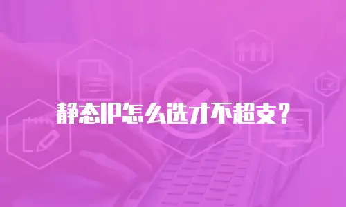 静态IP怎么选才不超支？