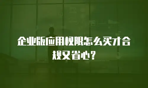 企业版应用权限怎么买才合规又省心？