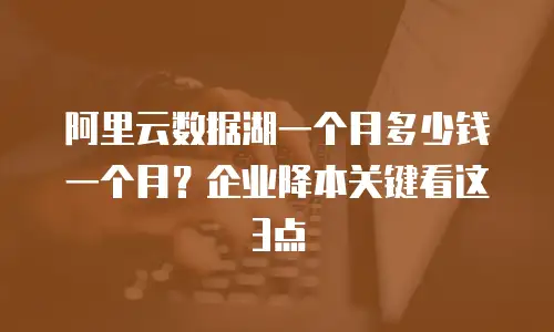 阿里云数据湖一个月多少钱一个月？企业降本关键看这3点