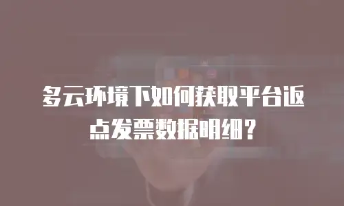 多云环境下如何获取平台返点发票数据明细？