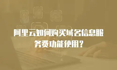 阿里云如何购买域名信息服务费功能使用？