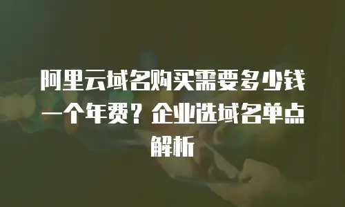 阿里云域名购买需要多少钱一个年费？企业选域名单点解析
