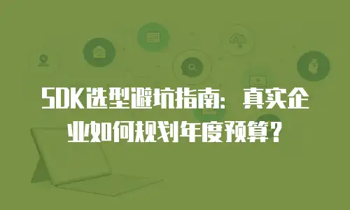 SDK选型避坑指南：真实企业如何规划年度预算？