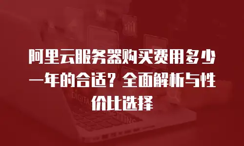阿里云服务器购买费用多少一年的合适？全面解析与性价比选择
