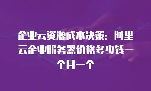 企业云资源成本决策：阿里云企业服务器价格多少钱一个月一个